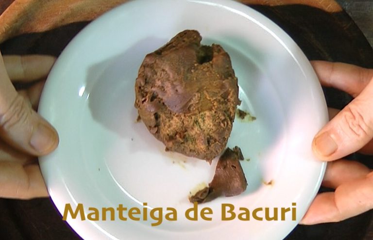 manteiga de bacuri